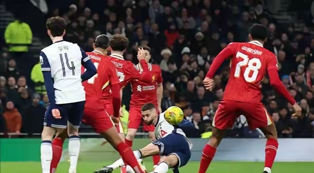 开云平台-包含里昂战平热刺，范戴克扑点救主欧冠的词条