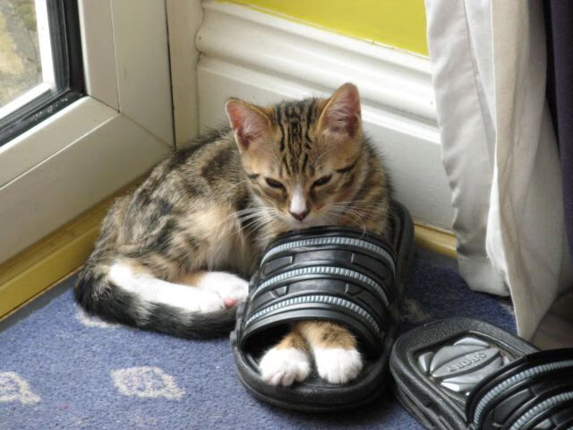 开云体育登录-从落后22分到惊天逆转！爱德华兹关键时刻的王者气质拯救76人