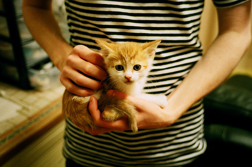 体育中国-东契奇魔术师般掌控全局，快船灼伤热火取关键胜利